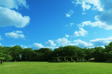 Fototapeta na wymiar 夏の芝生と青空と雲と緑の木々