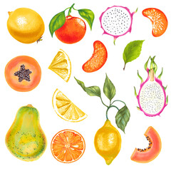 Lemon, orange, lime, mandarin tangerine, papaya, dragon fruit, banana with leaves hand drawn watercolor illustration. Colorful set.