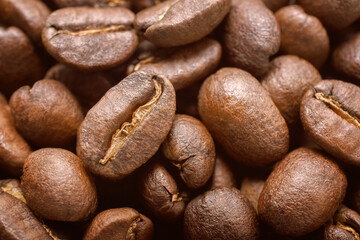 Roasted Coffee Beans. Close-up shot.