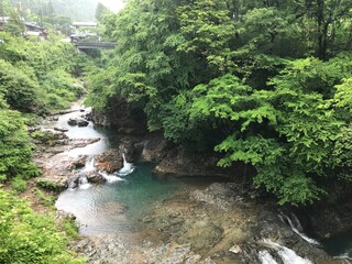 Small Waterfalls in the Forest