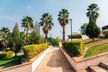 Obraz premium Palm trees road at Rajiv Gandhi Park in Udaipur, India