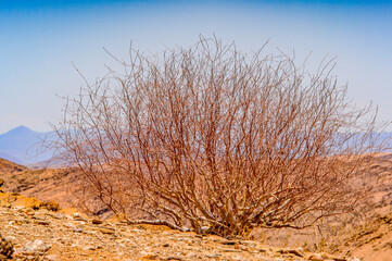 It's Beautiful landscape of Namibia