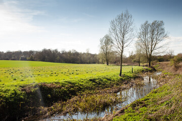 Obraz premium river ter in hatfield peveal