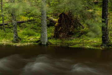 Fallen tree beside a stream in the forest. It is a long exposure photograph