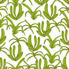 Vector orchid flower leaves green seamless pattern