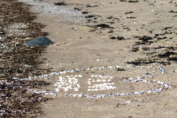 Heart shaped with seashells on a sandy beach
