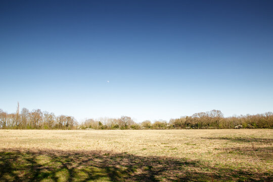 landscape image in the countryside of essex