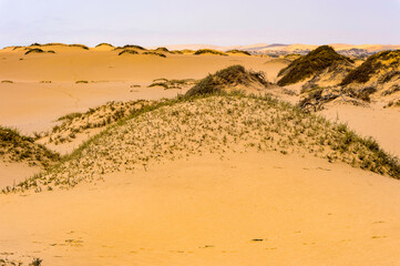 Fototapeta na wymiar It's Sand dunes at the Namib-Naukluft National Park, Namibia