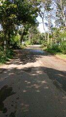 Obraz premium road free for me