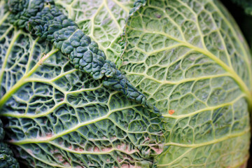 Macro food in a market