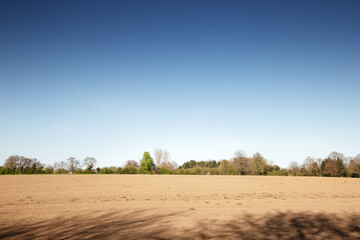 Fototapeta na wymiar landscape image in the countryside of essex
