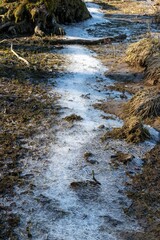 Ice on the ground on a spring day