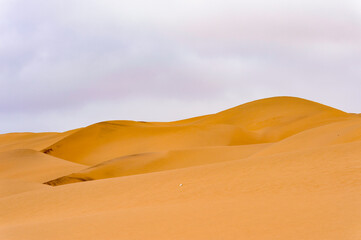Fototapeta na wymiar It's Spectacular view of the Sand dunes at the Namib-Naukluft National Park, Namibia