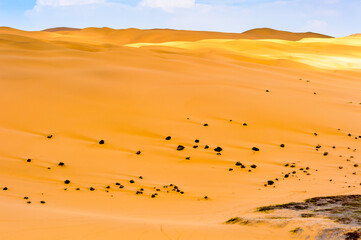 Fototapeta na wymiar It's Namib-Naukluft National Park, Namibia