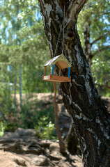 Birdhouse made of wood on a tree in the forest. Woodland. Caring for the birds. Food for the birds.