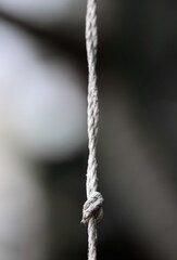 The knot of the old rope twine in the gray background