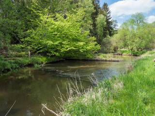 idyllic landscape of winding river stream meander at lush green meadow with deciduous tree forest, blue sky backgound. Late spring sunny afternoon, vibrant colors