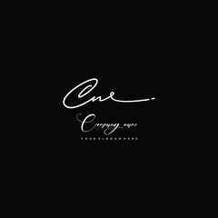 CN initials signature logo. Handwriting logo vector templates. Hand drawn Calligraphy lettering Vector illustration.