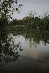 Fototapeta na wymiar swamp river