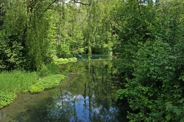 Die Rhumequelle im Südharz.
