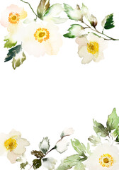 Obraz na płótnie Canvas Watercolor card with delicate anemones on a white background. Bouquet of summer flowers.