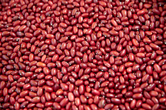 Myriad of red kidney beans.
