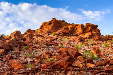 It's Rocks of Twyfelfontein, Namibia