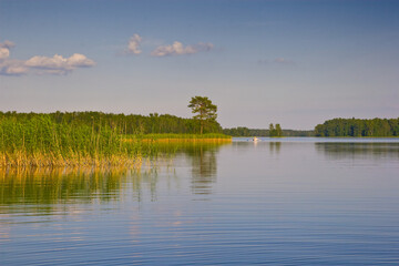 Fototapeta na wymiar Scenary summer evening calm lake.