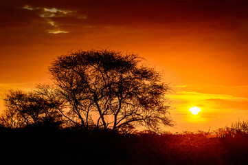 It's Beautiful sunset at the Erindi Private Game Reserve, Namibia