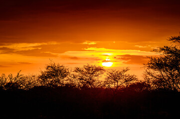 It's Beautiful sunset at the Erindi Private Game Reserve, Namibia