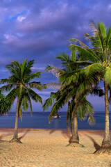 Fototapeta premium amazing island tropical beach