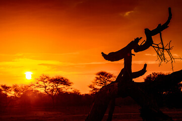 It's Beautiful sunset at the Erindi Private Game Reserve, Namibia