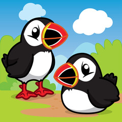 Puffins Cartoon, Animals cartoon Cute; 
Cartoon Cute 
