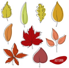 Set of hand drawn vector autumn leaves.