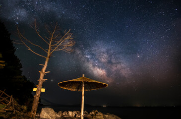 Beautiful starry night in the beach, with huge tree and umbrela. Bright milky way galaxy. Night photography.