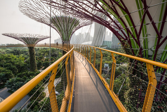 The Supertree Grove, Gardens by the Bay, Singapore,
