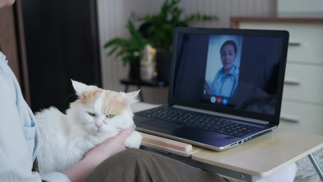 help of veterinarian online, young caring woman with her beloved cat communicates with veterinarian using modern technology webcam on laptop