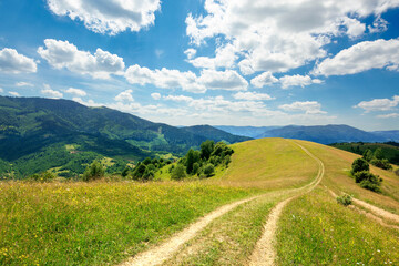 Fototapeta na wymiar path through the meadow in mountains. sunny summer landscape of carpathian countryside. white fluffy clouds on the blue sky