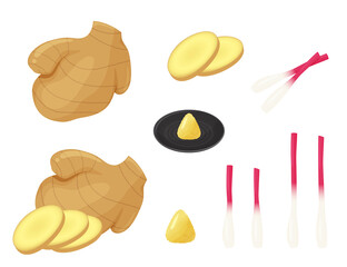 生姜のイラストセット