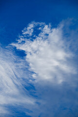 Naklejka na ściany i meble soft focus cloud and blue sky in the shiny day