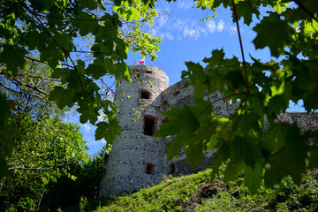 Wieża zamku zza drzew © Yana