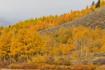 Fototapeta premium Scneic Landscape in Grand Teton NationalPark Wyoming in Autumn