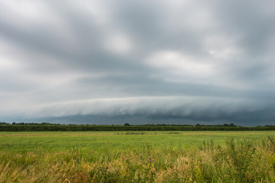 Approaching thunderstorm with arcus (shelf cloud) over plain landscape © Menyhert