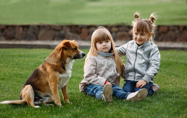 a happy family. little sisters outdoors are sitting nearby and hugging each other on the green grass. A dog is sitting nearby