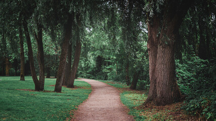 Empty park path surrounded by green trees and plants