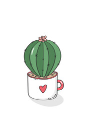 Hand drawn cactus in garden pottery. Vector.