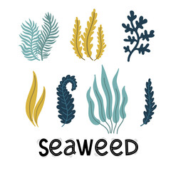 cute plants and coral, underwater world elements set, sea of ocean, vector