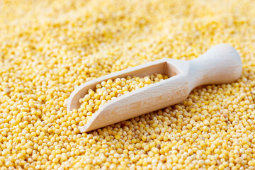 Millet groats are scattered on the table and a wooden spatula on top. The concept of good nutrition and vegetarianism. Healthy carbohydrates.