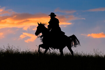 Cowboy silhouette