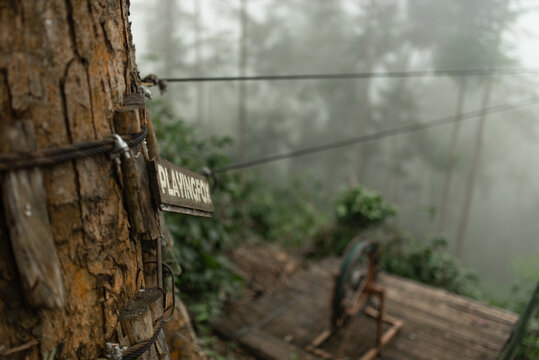 Zipline flying extreme sports